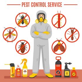 Pest control exterminator NY