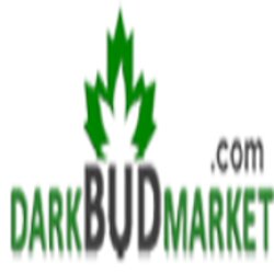 Darkbudmarket