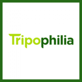 Tripophilia