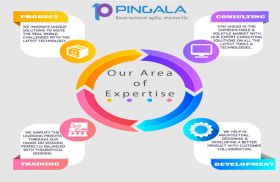 Pingala Software India Pvt Ltd