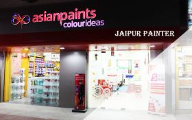 Jaipur Painter