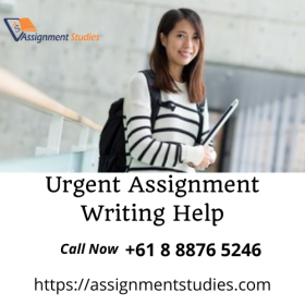Urgent Assignment Writing Help