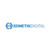  Egnetix Digital