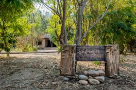 Wildlife Resort in Jim Corbett 