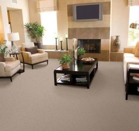 Carpets Store