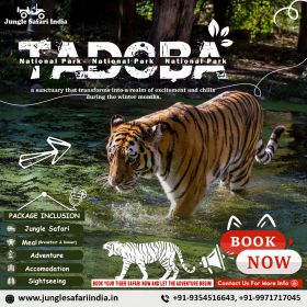 Tadoba National Park