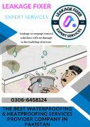 Leakage Fixer Expert Services
