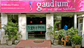 Gaudium IVF Centre