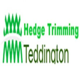 Hedge Trimming Teddington