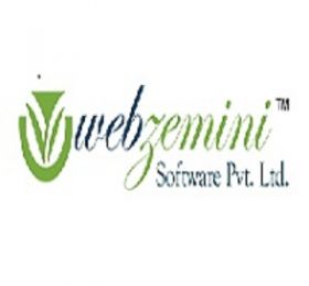 Webzemini Software