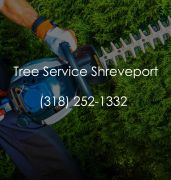 Tree Service Shreveport