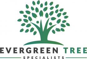 Evergreen Tree Specialists Staten Island