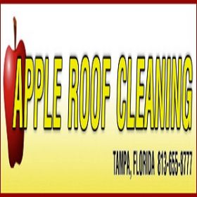 Apple Roof Cleaning Tampa Florida