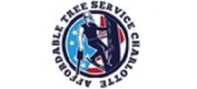 Affordable Tree Service Charlotte