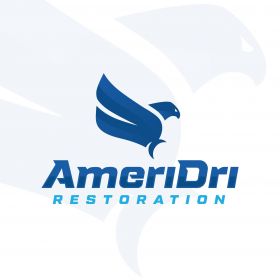 AmeriDri Restoration