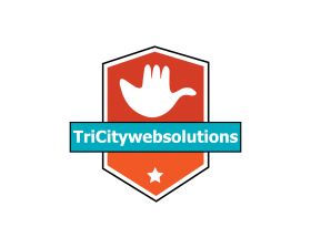 TriCity Web Solutions Web Designing and Development Company in Chandigarh