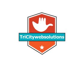 TriCity Web Solutions Web Designing and Development Company in Chandigarh