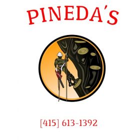 Pineda's Tree Service