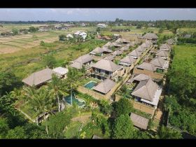 Nyuh Bali Villa Ubud