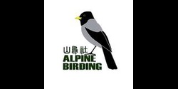 Alpine Birding