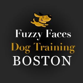 Fuzzy Faces Dog Training Boston