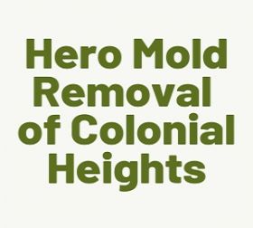 Hero Mold Removal of Colonial Heights