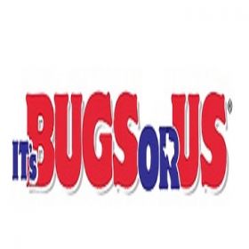It's Bugs Or Us Pest Control - South Austin