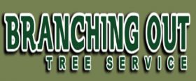 Tree Cutting & Trimming Bellmore