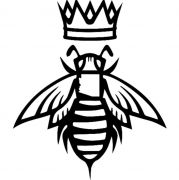 AZ Bee Kings