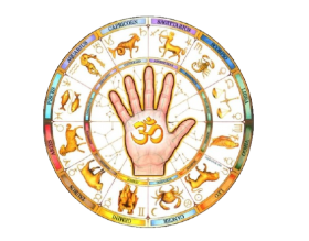 Best Astrologer in Jalandhar