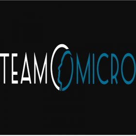 Team Micro Ltd