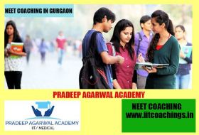 Pradeep Agarwal Academy