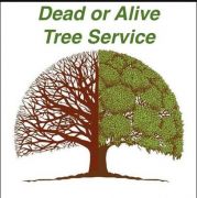 Dead or Alive Tree Service