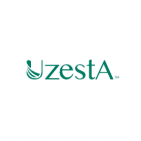 Uzesta Global