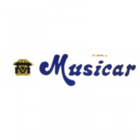 Musicar Gurgaon - Car Accessories