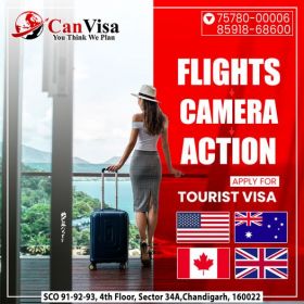 Can Visa Consultant