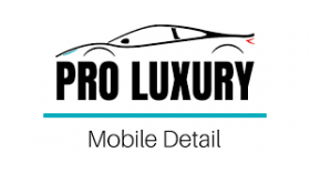 Pro luxury mobilr details