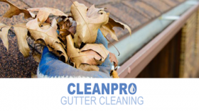 Clean Pro Gutter Cleaning Cedar Park