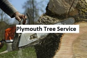Plymouth Tree Service