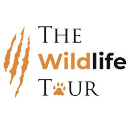 The Wildlife Tour