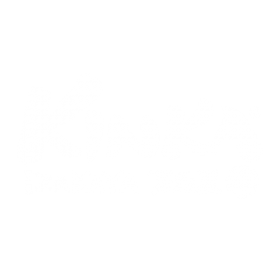 Kinka Izakaya Original