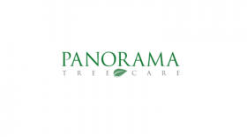 Panorama Tree Care: Tampa Tree Services