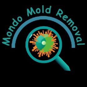 Garland, TX - Mondo Mold Removal