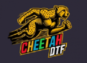 Cheetah DTF