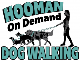 Hooman On Demand