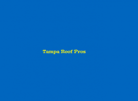 Tampa Roof Pros