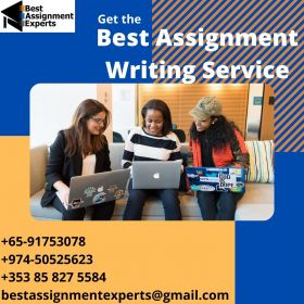 Best Assignment Experts