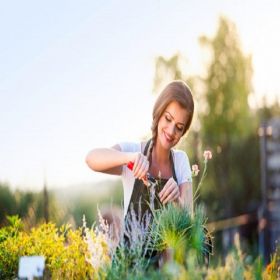 Garden Maintenance Erith