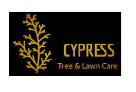 Cypress Tree & Lawn Care