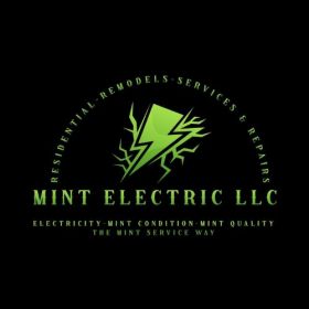 Mint Electric